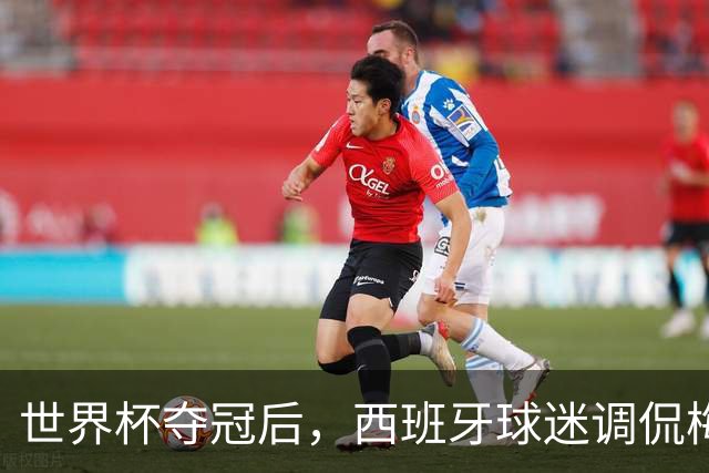 世界杯夺冠后，西班牙球迷调侃梅西： 别哭了，唱歌吧