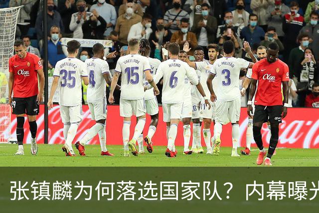 张镇麟为何落选国家队？内幕曝光，叫人心疼，郭士强并没放弃他