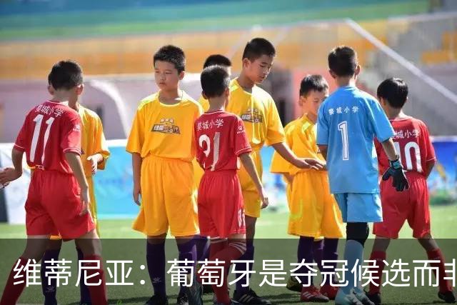 维蒂尼亚：葡萄牙是夺冠候选而非热门 C罗以他的方式奉献自己